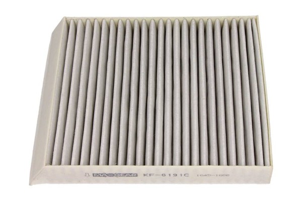 Innenraumfilter Renault Megane Scenic 99- MIT Kohle-image
