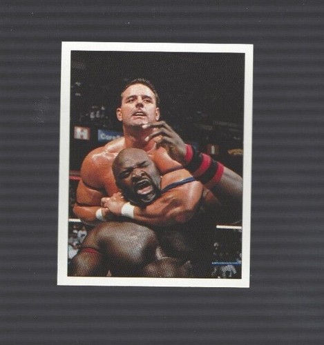 1997 WWF WWE Superstars Panini Stickers - You Pick - Complete Your Set 1-180 - Picture 52 of 102