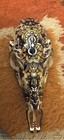 Skull Whitetail Doe OOAK Hand Painted — photo 4