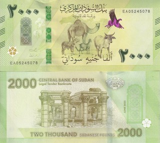 Sudan 2000 Pounds 2025 / 2026 P New Design CAMEL UNC NR