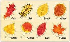 Leaf Wooden Jigsaw Puzzles by , Leaf Puzzle Fall Toys for Toddler, Montessori Pu