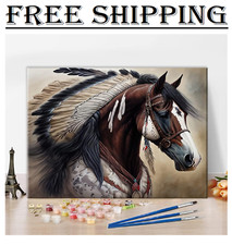 Native American Horse Paint by Number Kits, Paint by Numbers for Adults