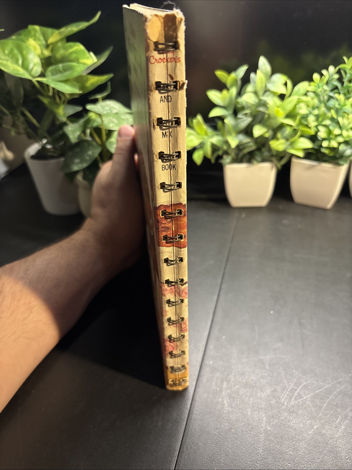 Photo 7/10