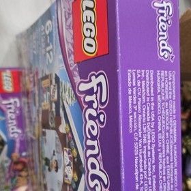 LEGO Friends Snow Resort Ice Rink 41322 Complete Set 307 Pieces 2017
