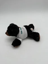 Aurora Black Bear Plush 8" Deer Valley Shirt Stuffed Animal