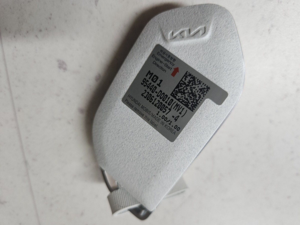 Genuine 95440 DO010 FOB Smart Key + Key Blank for Kia EV9 | eBay