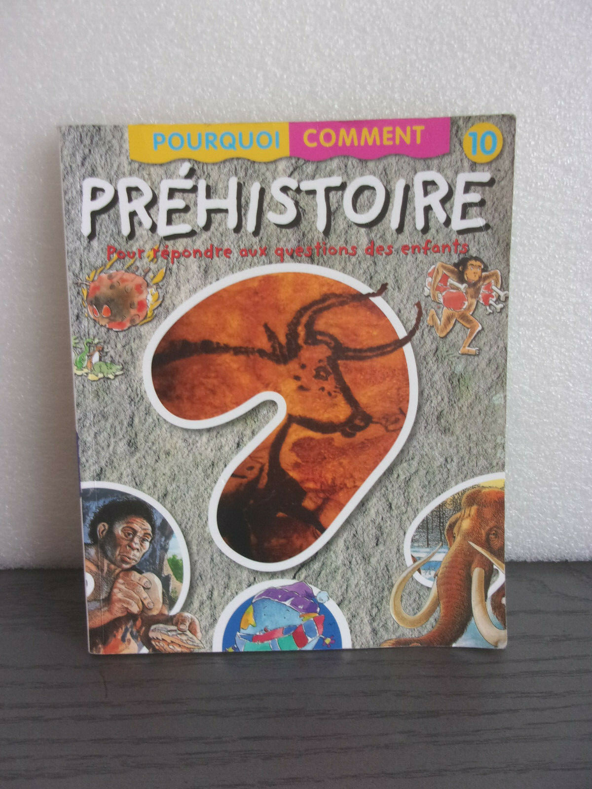 couverture de : Pr&eacute;histoire