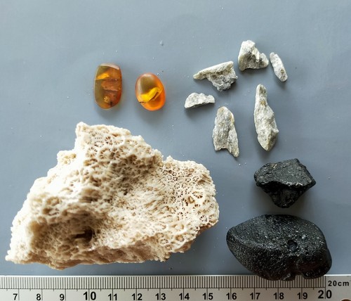 11 MINERALES SURTIDOS: mineral de oro, coral fósil, ámbar birmita con insectos, tectitas - Imagen 2 de 8