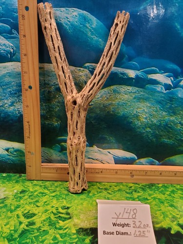 Many CHOLLA Wood "Y" Pieces | YOU PICK A PIECE! | Pre-Cleaned | Aquarium, Crafts - Picture 39 of 43