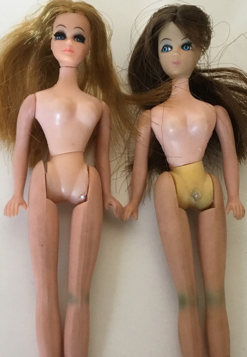Dawn Dolls: Official Encyclopedia　ドーンドール Dawn dolls : official encyclopedia & price guide / Benita