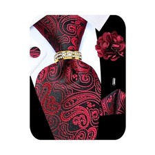 5PCS Tie and Pocket Square for Men, Silk Necktie Red Black Paisley Tie Set -199