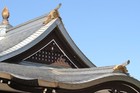 Foto 2 di 23