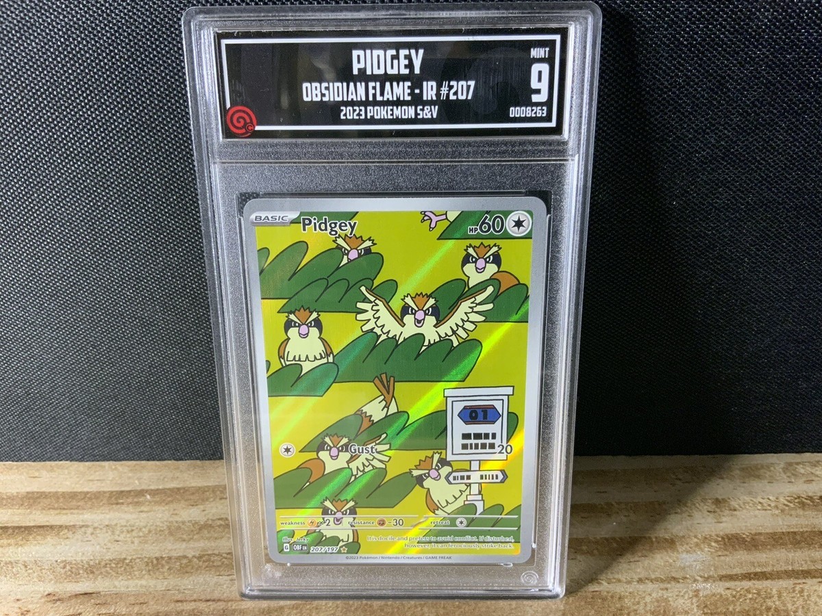 TCCG 9 Mint Pidgey IR 207/197 2023 S&V Obsidian Flames Pokémon | eBay