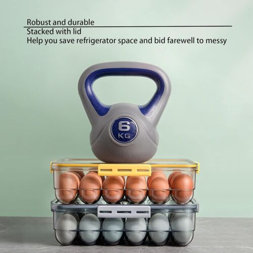 Large Capacity Egg Container with Easy Visibility - Neat Refrigerator Storage - Picture 6 of 10