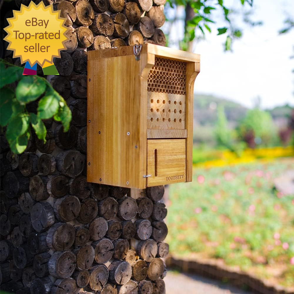 Mason Bee House Wax Coated Mason Bee Hive Wooden Insect Hotel Carpenter Bee Hous