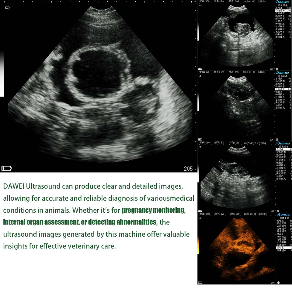 Máquina veterinária portátil de ultrassom para animais de estimação para cabra gado cavalo - Imagem 4 de 4