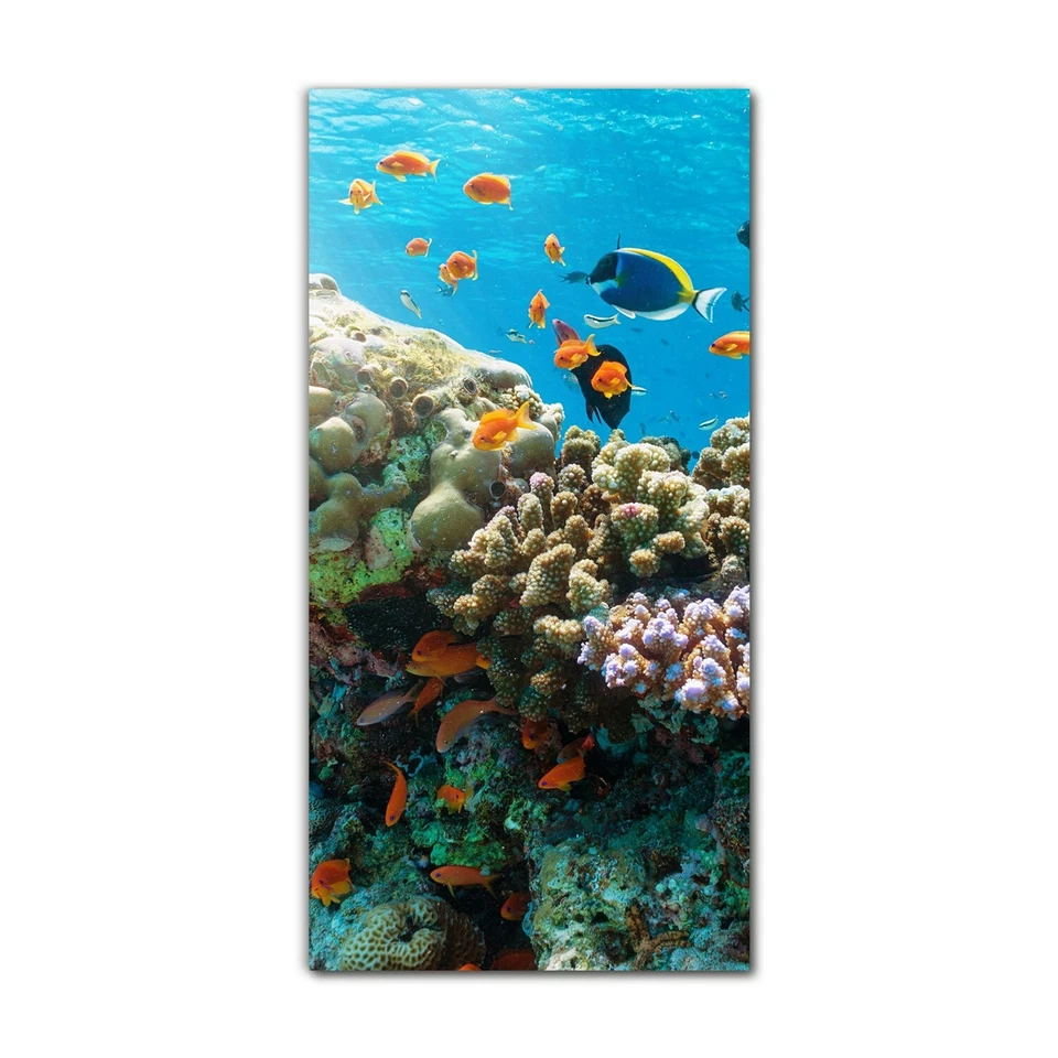 Glasbilder Wandbild XXL Unterwasser Marine korallenriff tropisch Fische 60x120 - Bild 4 von 4