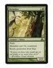 MTG - NM - Skylasher - Dragon's Maze 49
