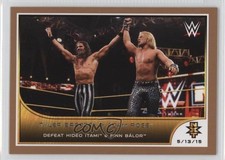2016 Topps WWE Road to Wrestlemania NXT Tyler Breeze & Adam Rose Patch Tag 0c4