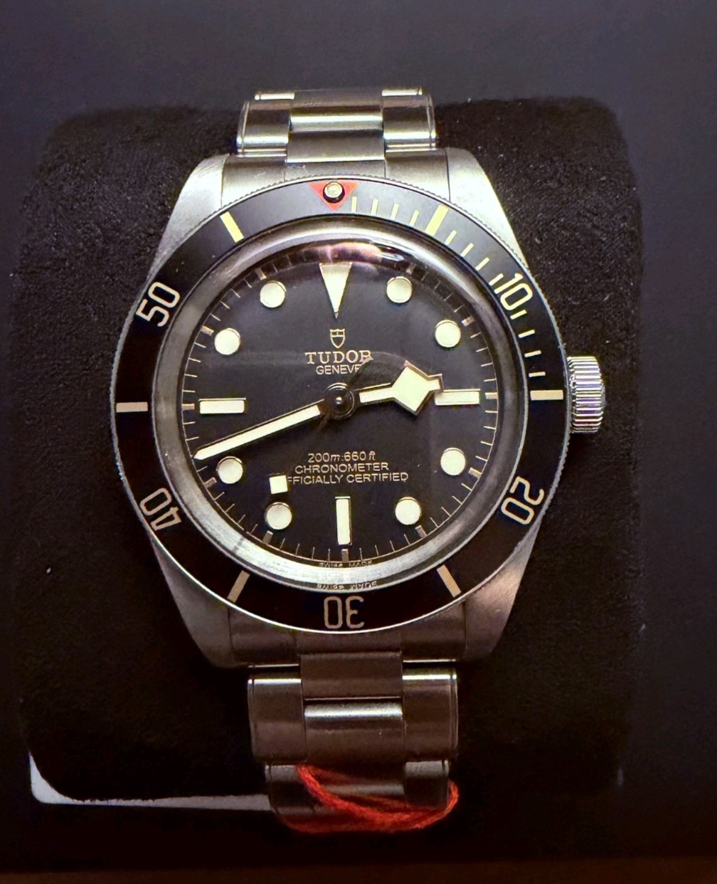 Tudor Black Bay 79030
