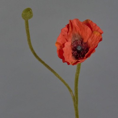 artplants Kunstblume Mohnblume YILAN, rot, 60 cm