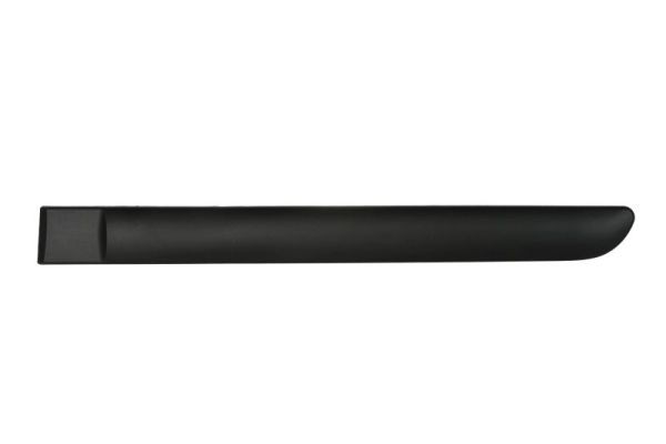 Left Rear BLIC 5703-04-0519573P Trim/Protection Strip, wing for CITROËN