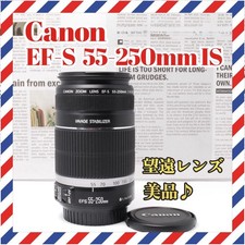 Canon Camera Ef-S 55-250Mm Is Image Stabilizer Telephoto Lens Slr