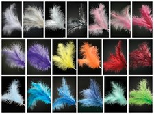FEATHER Stem Sprays Fascinator Cake Topper Florist Wired Craft Decoration