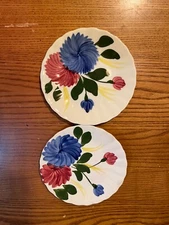 Blue Ridge CHRYSANTHEMUM PATTERN Hand Painted 2 plates Vintage Southern Pottery