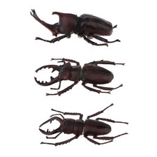 3x lebensechte k&uuml;nstliche K&auml;fer Insektenfiguren, Kinderspielzeug, Geschenk,