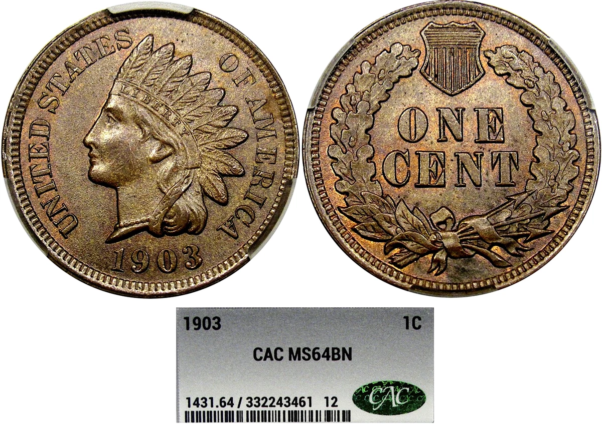 Business 1903 Year Indian Head Small Cents (1859-1909) for sale | eBay