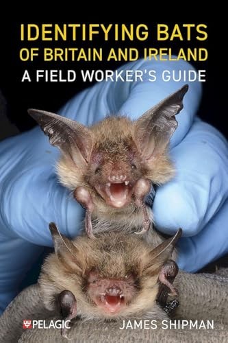 Identifying Bats Of Britain And Ireland - Image 3