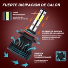 Imagen 8 de 12