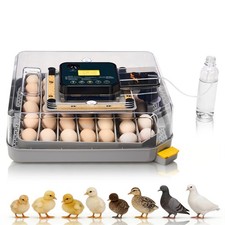 48 Digital Egg Incubator Hatcher w/ Auto-Turning, Temperature  Humidity Control