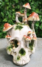 Day Of The Dead Toadstool Mushrooms And Moss ...