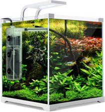 16L Starfire Glass Aquarium Fish Tank with 5W LED Light, 3W Filter Pump, for Fre