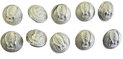 Set of 10 Air Force Buttons for Hood mle 1946 - Diameter 25mm