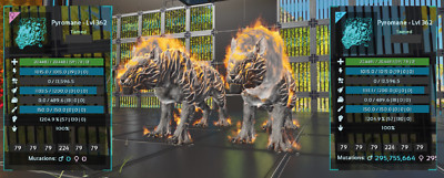 Ark Survival Ascended - 100% imprinted Pyromane (DLC needed) - PvE