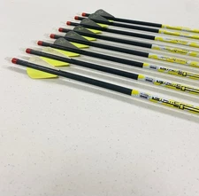Carbon Express D-Stroyer 350 Arrows