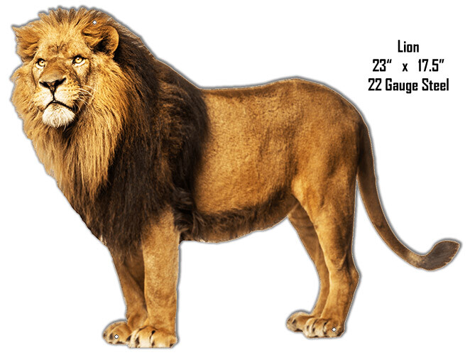 Vintage Style Metal Sign Side View Of Lion Animal 17.5x23. | eBay