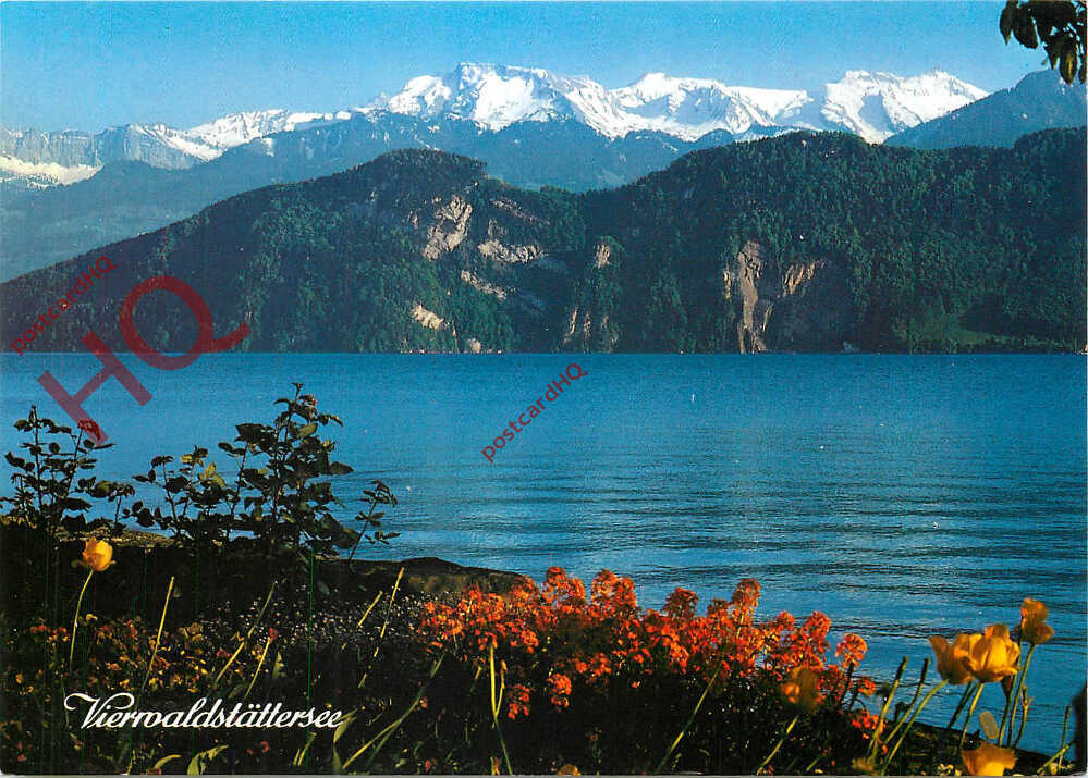Bild 1 von 2