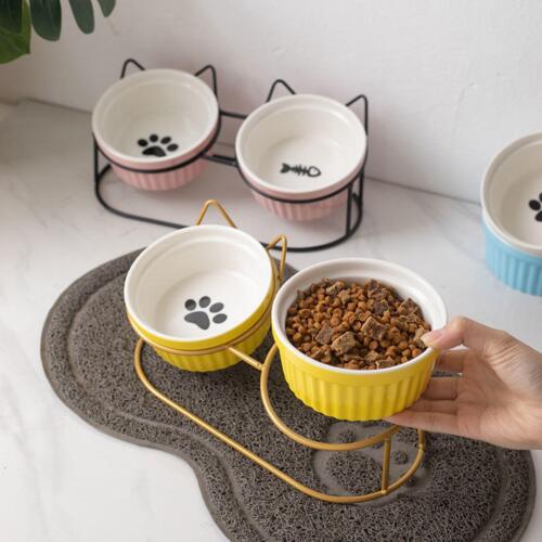 Cat Bowl Raised Cat Dish Detachable High Foot Pet Feeder Anti Skid Practical - Picture 1 of 7