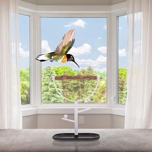 Bird Toy Bird Play Stand Parrot Stand Bird Accessory Parrot Rest - Picture 8 of 12