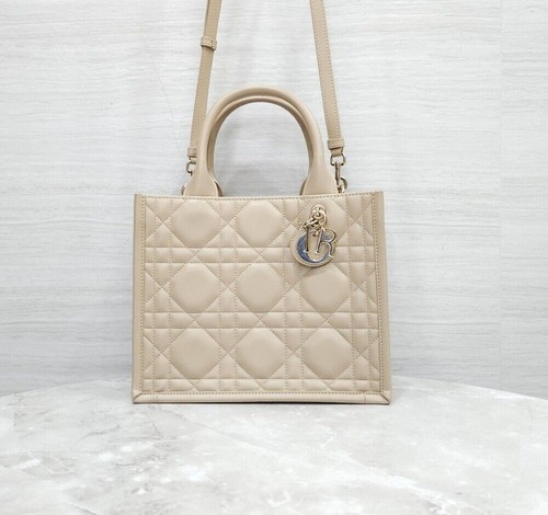 Dior Leather Book Tote Small Bag Powder Beige M1325OWHP 156744187