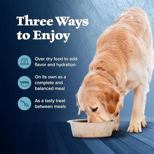 Blue Buffalo Wilderness Chicken & Trout Wet Dog Food 6 Cans & 1 Blue Puppy Can