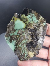 Polychrome Frog Blossom Variscite Slab