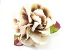Bild 14 von 21