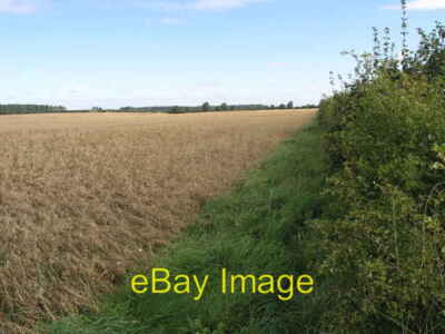 Foto 6x4 Hafer und Heckenkielby Die Hafer suchen erntereif um 2006
