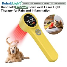 1760mW Cold Laser lllt Red Light Device 980 nm Laser Light Therapy Horse Dog Cat