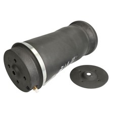 1X BALG LUFTFEDERUNG HINTEN L/R PASST ZU: MERCEDES GL GL GLE GLE GLS M